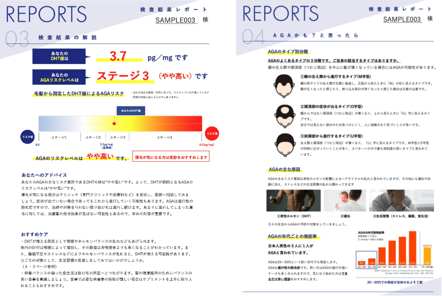 レポート結果の例