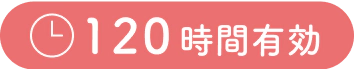 120時間有効