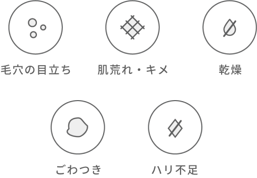 毛穴の目立ち、肌荒れ・キメ、乾燥、ごわつき、ハリ不足