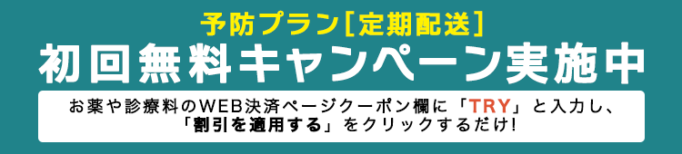 決済ページのクーポン欄に「TRY」と入力し「割引を適用する」をクリックするだけ!