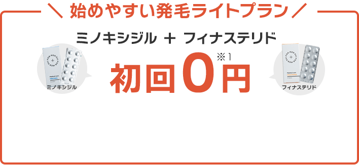 初回0円、2か月目以降もずっと、3,412円（税込）