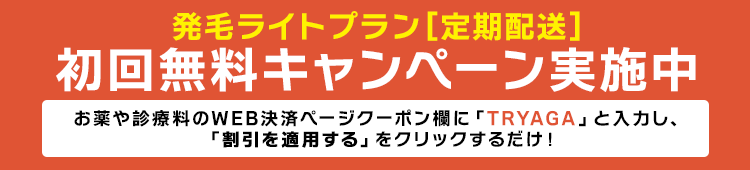 決済ページのクーポン欄に「TRY」と入力し「割引を適用する」をクリックするだけ!