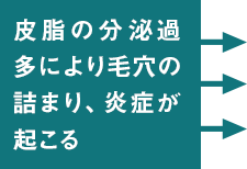 皮脂の分泌過多により毛穴の詰まり、炎症が起こる