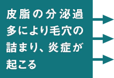 皮脂の分泌過多により毛穴の詰まり、炎症が起こる