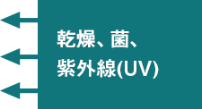 乾燥、菌、紫外線(UV)