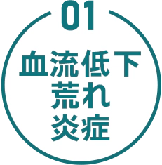 01 血流低下 荒れ 炎症