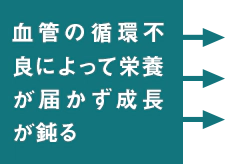 血管の循環不良によって栄養が届かず成長が鈍る