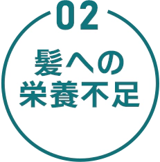 02 髪への栄養不足