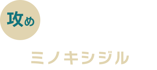 攻め 発毛を促進 ミノキシジル