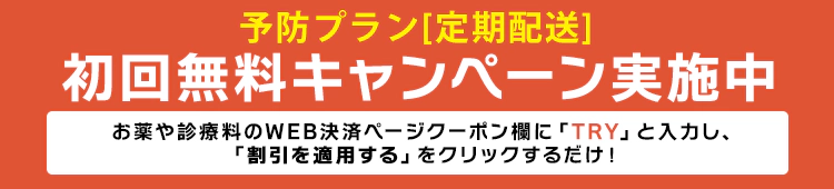 決済ページのクーポン欄に「TRY」と入力し「割引を適用する」をクリックするだけ!