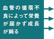 血管の循環不良によって栄養が届かず成長が鈍る