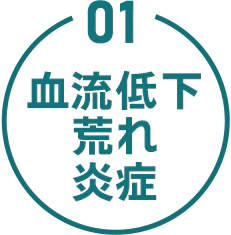 01 血流低下 荒れ 炎症