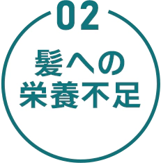 02 髪への栄養不足