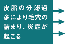 皮脂の分泌過多により毛穴の詰まり、炎症が起こる