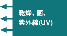 乾燥、菌、紫外線（UV）