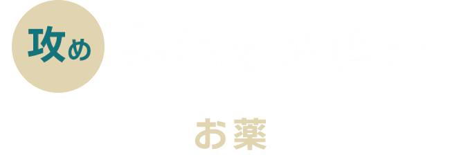 攻め 発毛を促進 ミノキシジル