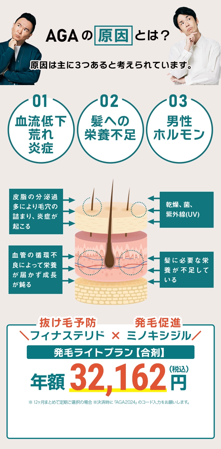 正常な髪の成長 男性ホルモンによる成長の抑制
