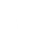 髪の毛
