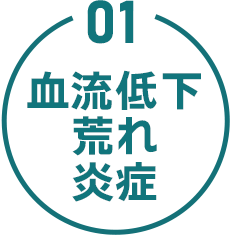 01 血流低下 荒れ 炎症