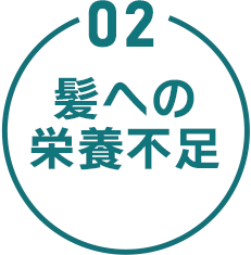 02 髪への栄養不足