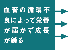 血管の循環不良によって栄養が届かず成長が鈍る