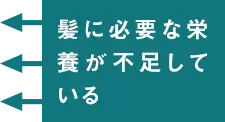 髪に必要な栄養が不足している