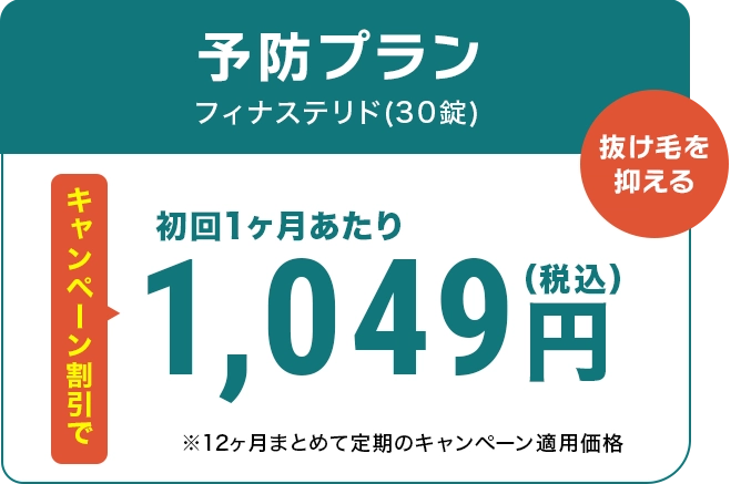 予防プラン