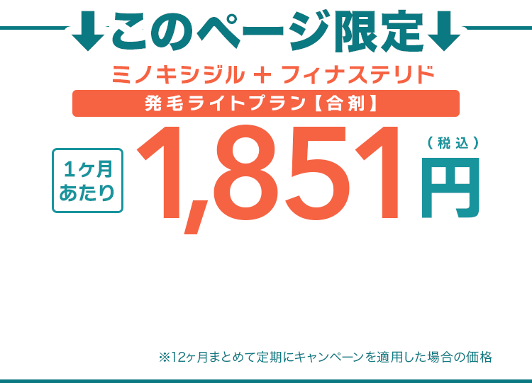 初回0円、2か月目以降もずっと、3,412円（税込）