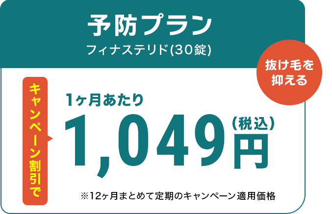 予防プラン