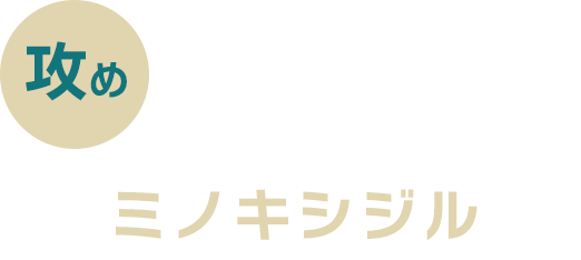 攻め 発毛を促進 ミノキシジル