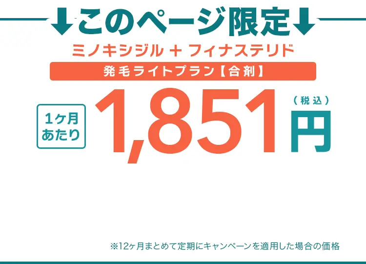 このページ限定