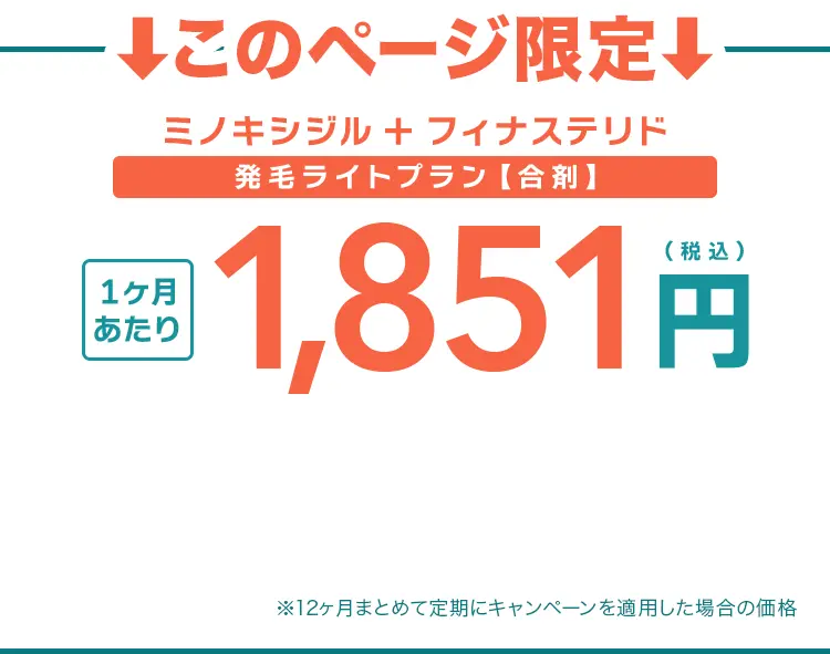初回0円、2か月目以降もずっと、3,412円（税込）