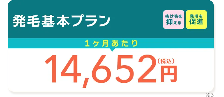 発毛基本プラン