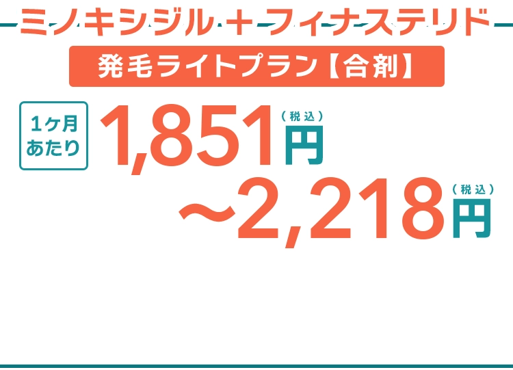 このページ限定