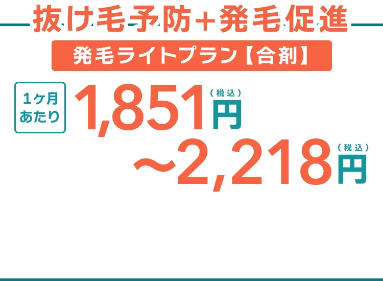 このページ限定