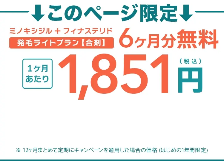 このページ限定