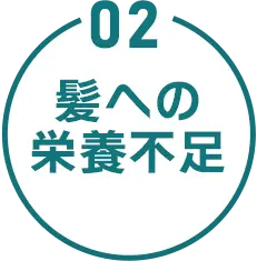 02 髪への栄養不足