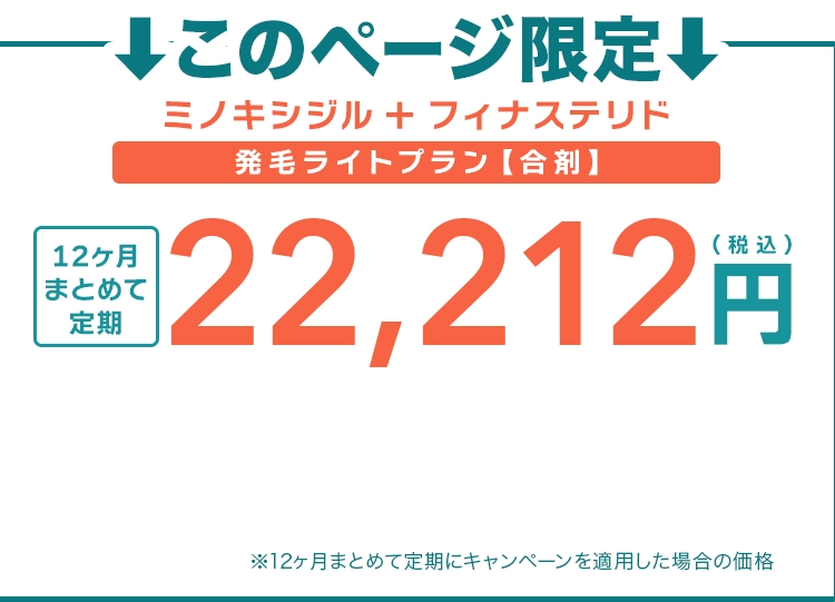 このページ限定