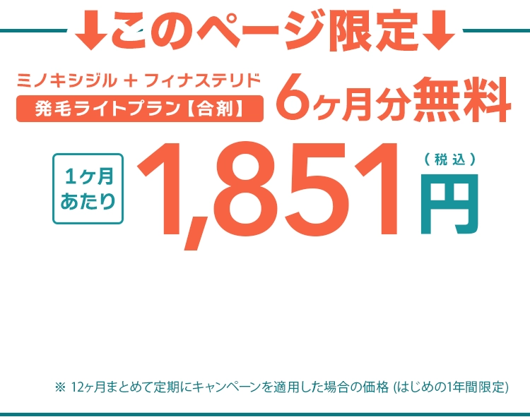 初回0円、2か月目以降もずっと、3,412円(税込)