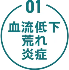 01 血流低下 荒れ 炎症