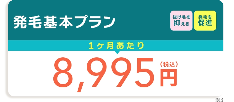 発毛基本プラン