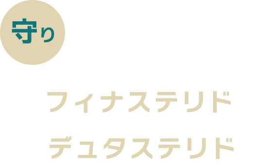 守り 抜け毛を抑える フィナステリド デュタステリド