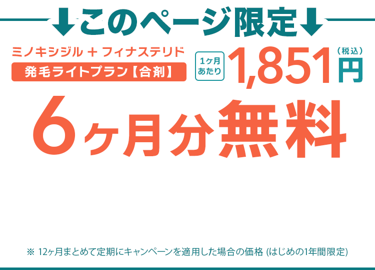 このページ限定