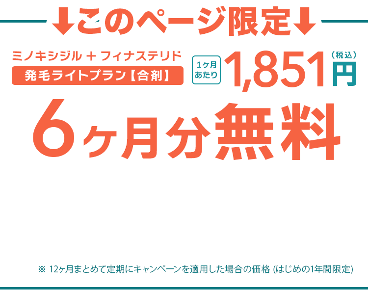初回0円、2か月目以降もずっと、3,412円（税込）