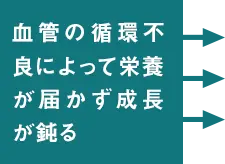 血管の循環不良によって栄養が届かず成長が鈍る