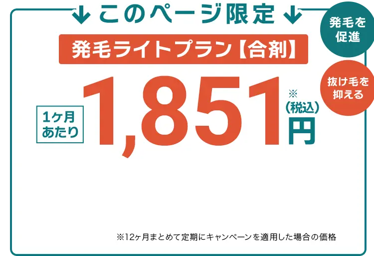 初回0円、2か月目以降もずっと、3,412円（税込）