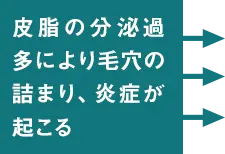 皮脂の分泌過多により毛穴の詰まり、炎症が起こる