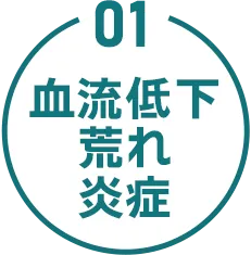 01 血流低下 荒れ 炎症