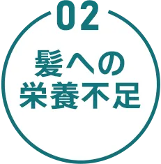 02 髪への栄養不足