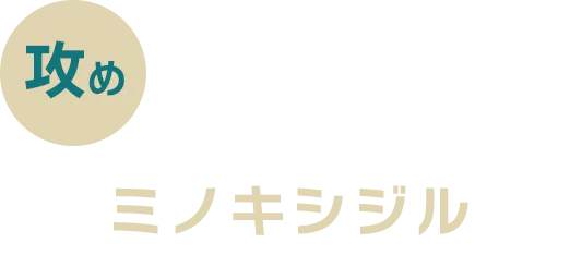 攻め 発毛を促進 ミノキシジル